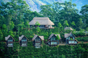 Experience Elevated Comfort: Horizon Voyages' Handpicked 4-Star Accommodations in Sri Lanka